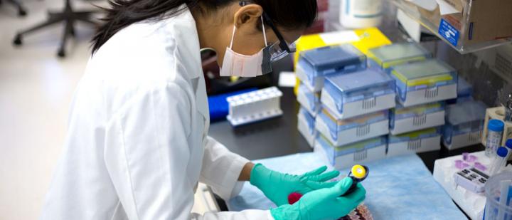 woman working in lab 